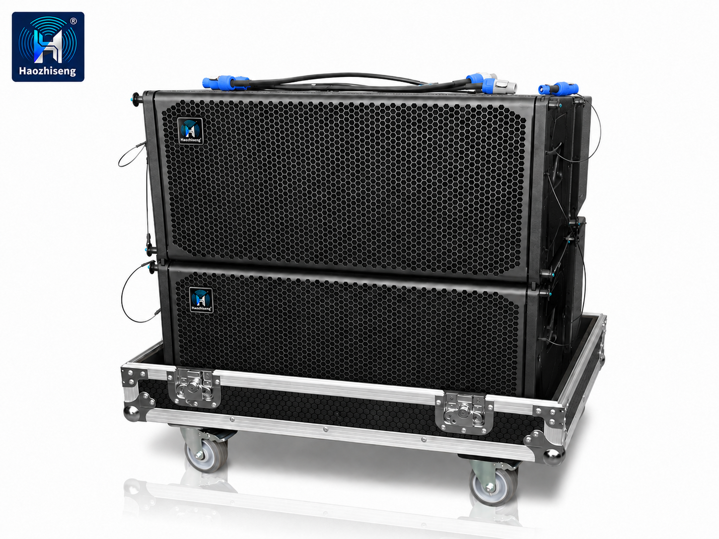 HA310P Dual 10-Inch 3-Way Self-Powered Active Line Array PA Speaker System