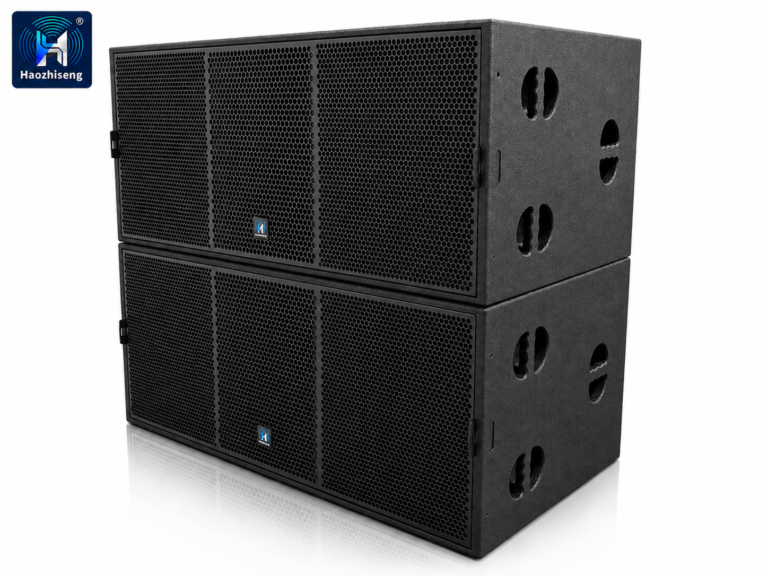HAS28 3200W Dual 18-Inch Professional Passive Subwoofer Speaker for DJ, Live Sound, Stage & Touring Audio Systems