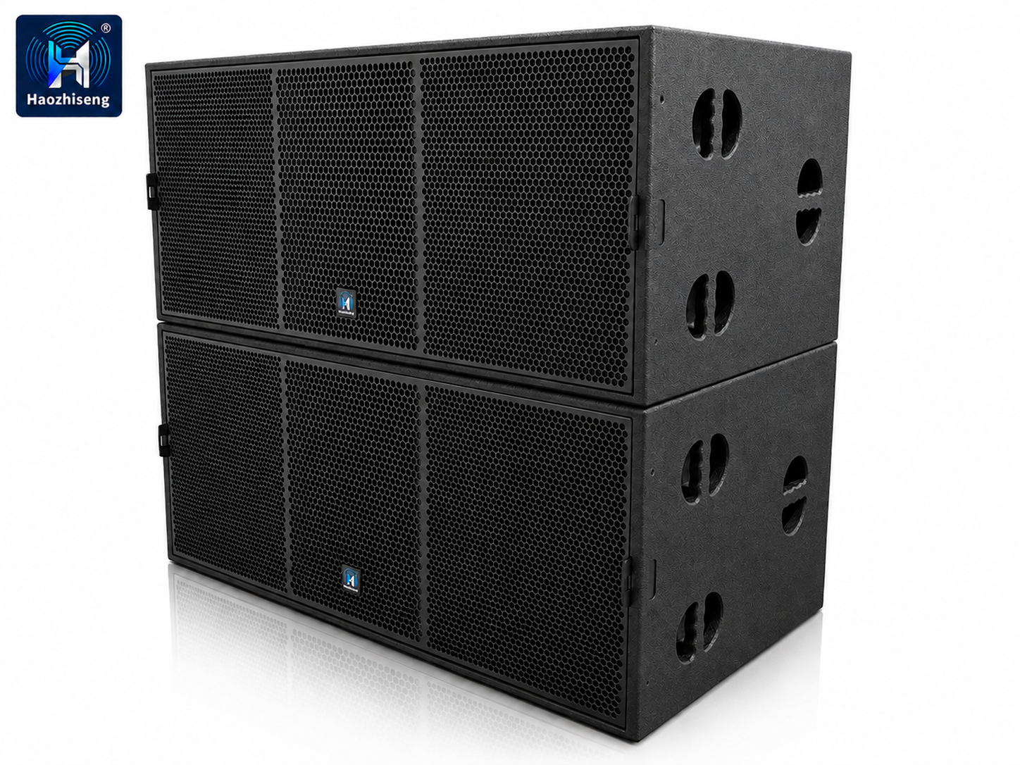 HAS28 3200W Dual 18-Inch Professional Passive Subwoofer Speaker for DJ, Live Sound, Stage & Touring Audio Systems