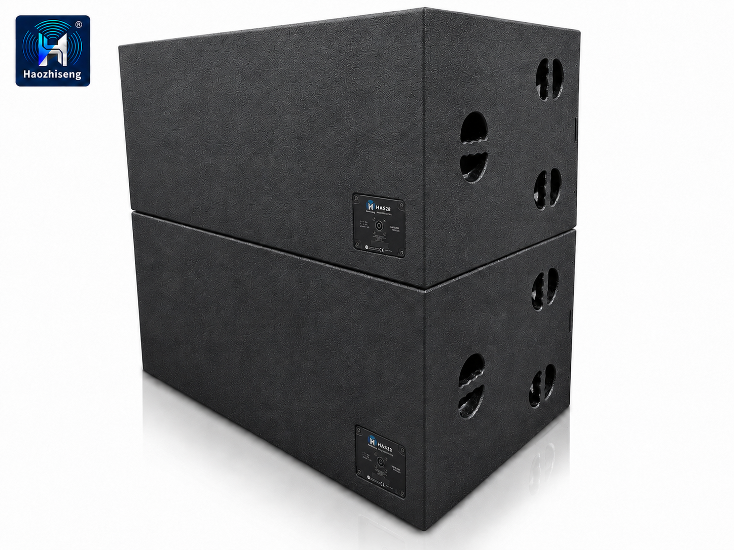 HAS28 3200W Dual 18-Inch Professional Passive Subwoofer Speaker for DJ, Live Sound, Stage & Touring Audio Systems