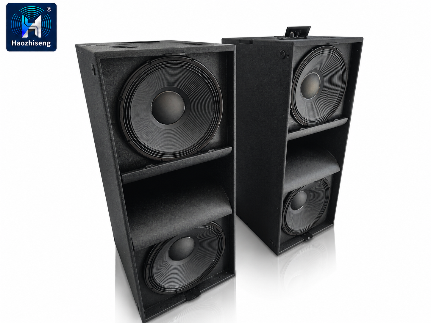 HAS28 3200W Dual 18-Inch Professional Passive Subwoofer Speaker for DJ, Live Sound, Stage & Touring Audio Systems