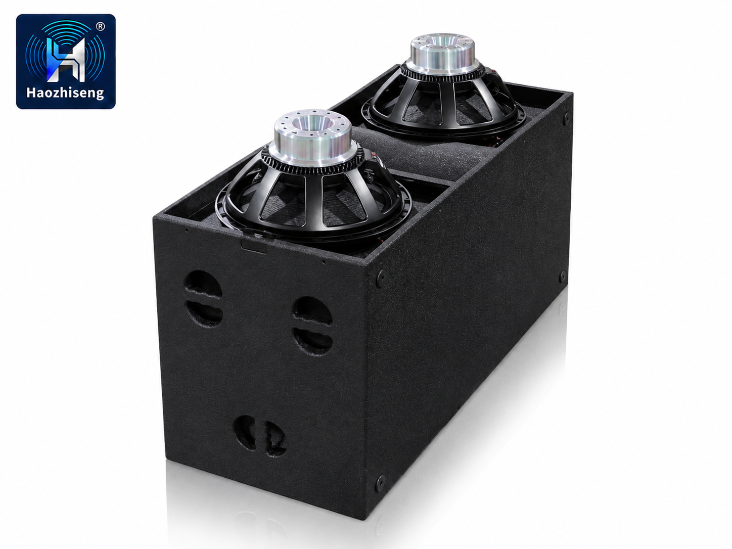 HAS28 3200W Dual 18-Inch Professional Passive Subwoofer Speaker for DJ, Live Sound, Stage & Touring Audio Systems