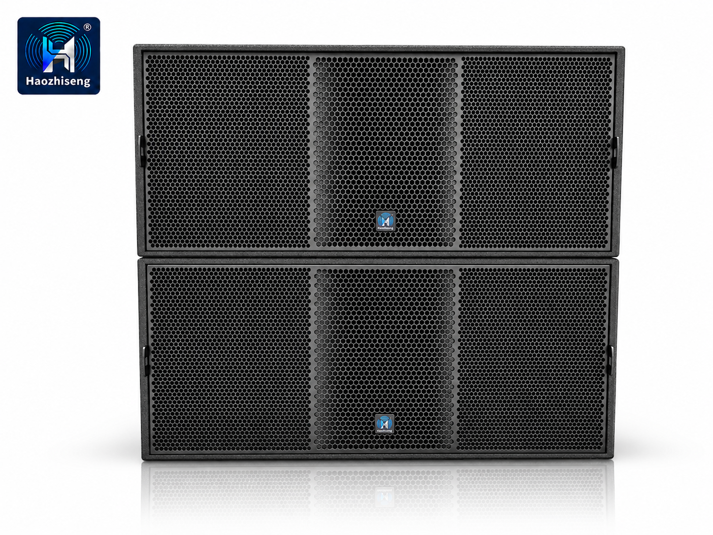 HAS28 3200W Dual 18-Inch Professional Passive Subwoofer Speaker for DJ, Live Sound, Stage & Touring Audio Systems