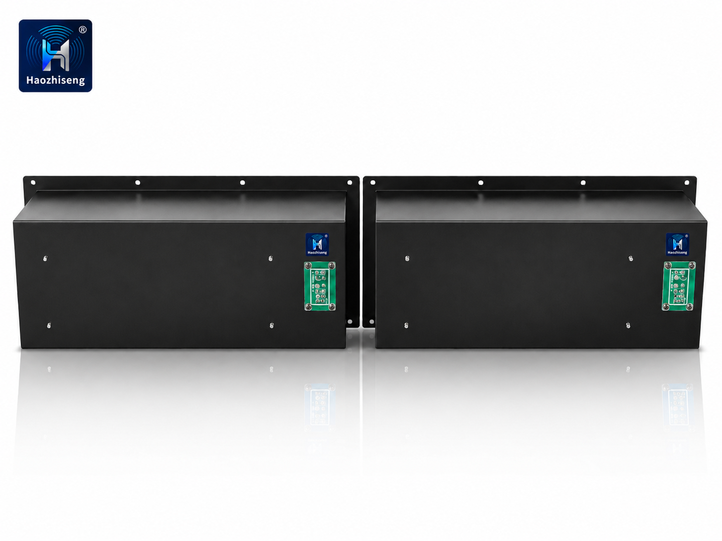 H1-450D 450W Single-Channel Class D Amplifier Module for Active Speakers