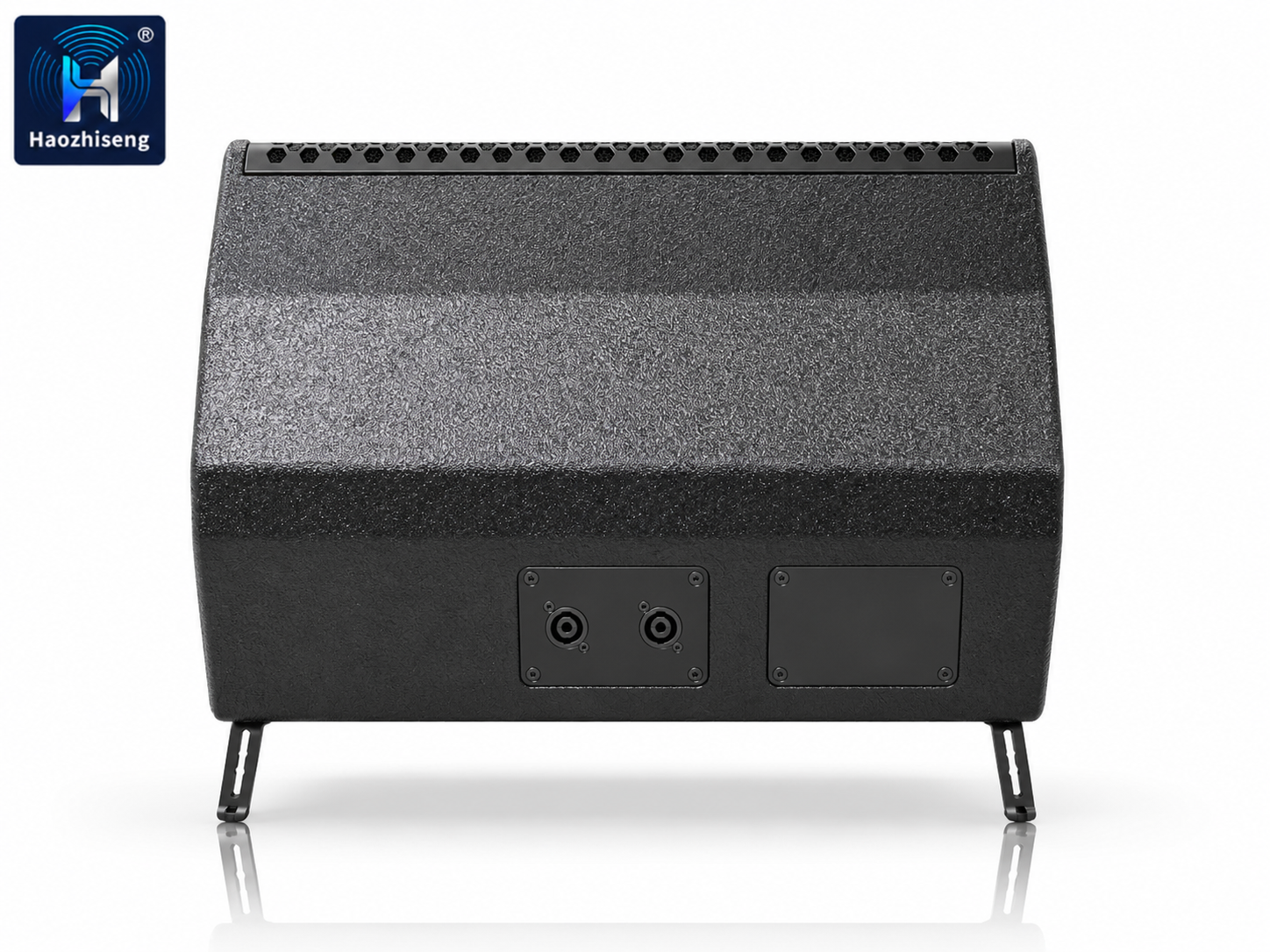 HA12XD Single 12-Inch Coaxial Passive Stage Monitor Speaker