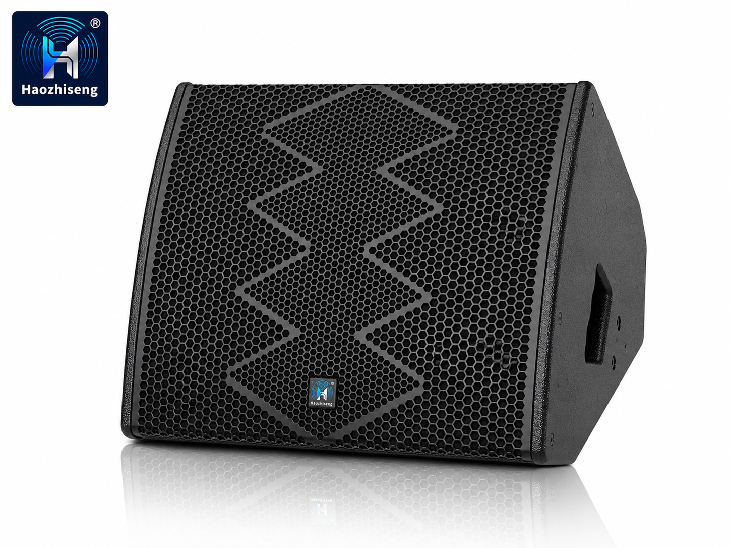 HA15M 15-Inch Coaxial Stage Monitor Speaker for Professional Live Sound