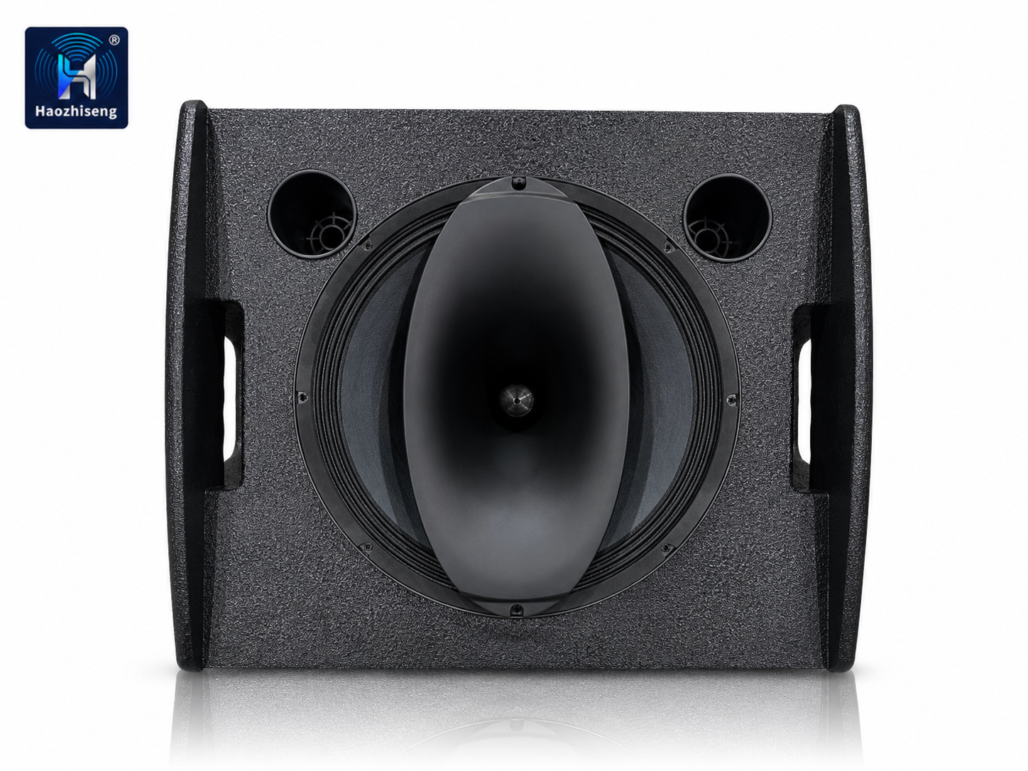 HA15M 15-Inch Coaxial Stage Monitor Speaker for Professional Live Sound