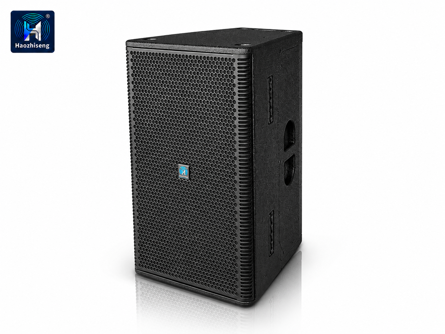 HA212 Dual 12-Inch Active Point Source Speaker with DSP for Professional PA, DJ & Live Sound Systems