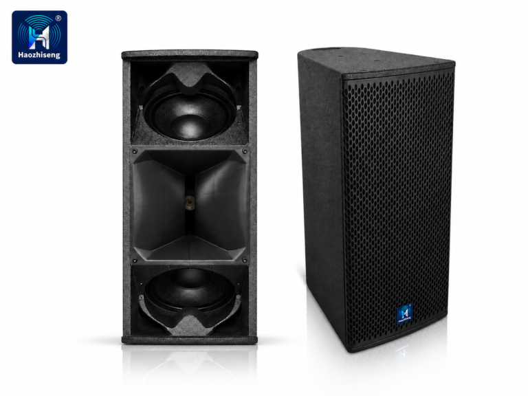 HA28 Dual 8-Inch Passive Full-Range PA Loudspeaker for Theater, Live Sound & Fixed Installation