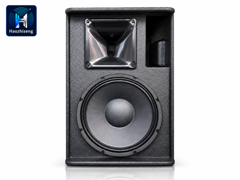 HAS10 Active 10-Inch Powered PA Speaker and Stage Monitor