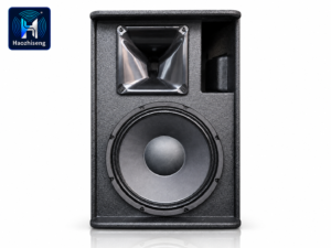HAS10 Active 10-Inch Powered PA Speaker and Stage Monitor