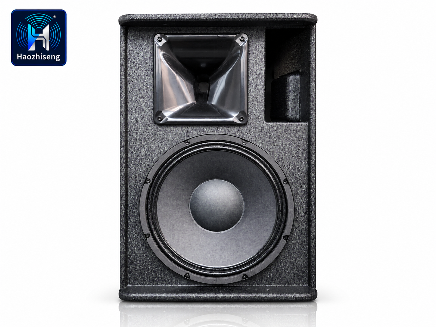 HAS10 Active 10-Inch Powered PA Speaker and Stage Monitor