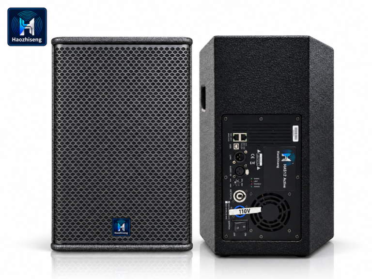HAS12 Active 12-Inch Powered PA Speaker and Stage Monitor
