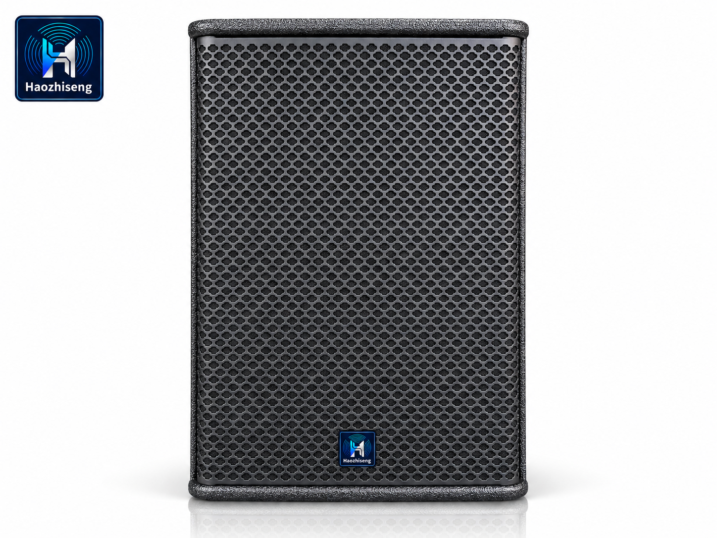 HAS8 Active 8-Inch Powered PA Speaker and Stage Monitor